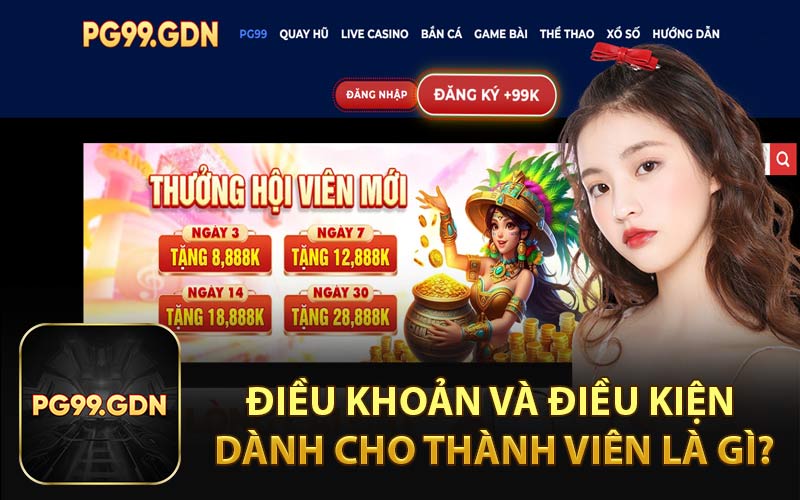 Điều Khoản và Điều Kiện Dành Cho Thành Viên Là Gì?