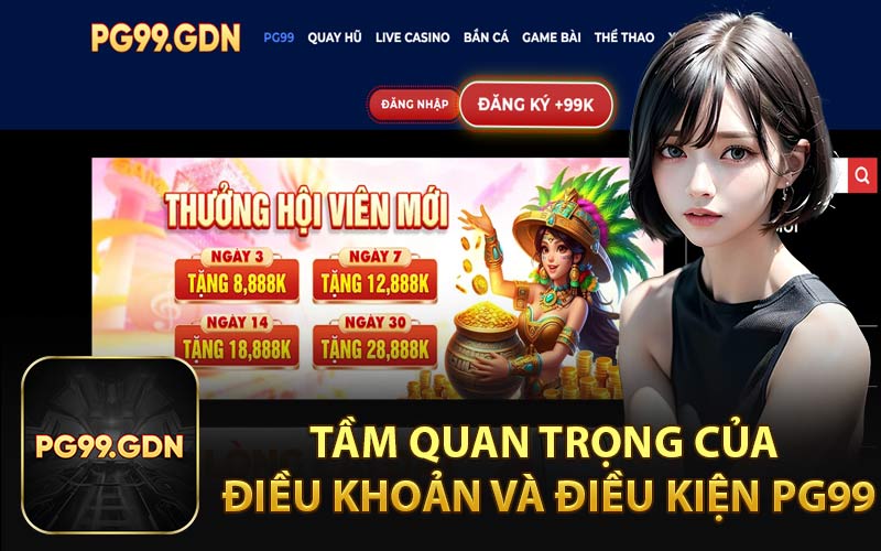 Tầm Quan Trọng Của Điều Khoản và Điều Kiện PG99