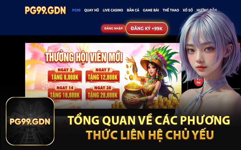 Tổng Quan Về Các Phương Thức Liên Hệ Chủ Yếu